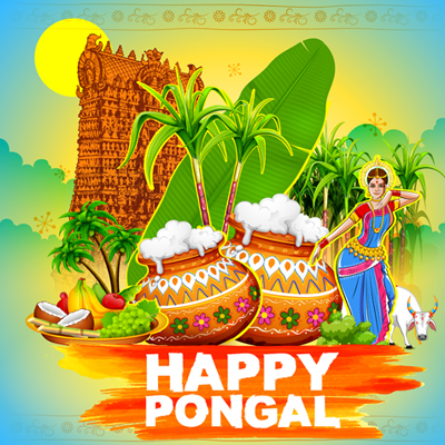 Sankranthi celebration